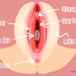erkekler-kizlik-zarinin-bozuk-oldugunu-nasil-anlar-k