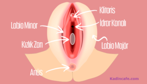 erkekler-kizlik-zarinin-bozuk-oldugunu-nasil-anlar-k