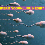 sperm-yogunlugu-nedir-k32932