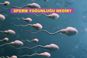 sperm-yogunlugu-nedir-k32932
