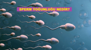 sperm-yogunlugu-nedir-k32932