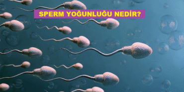 sperm-yogunlugu-nedir-k32932